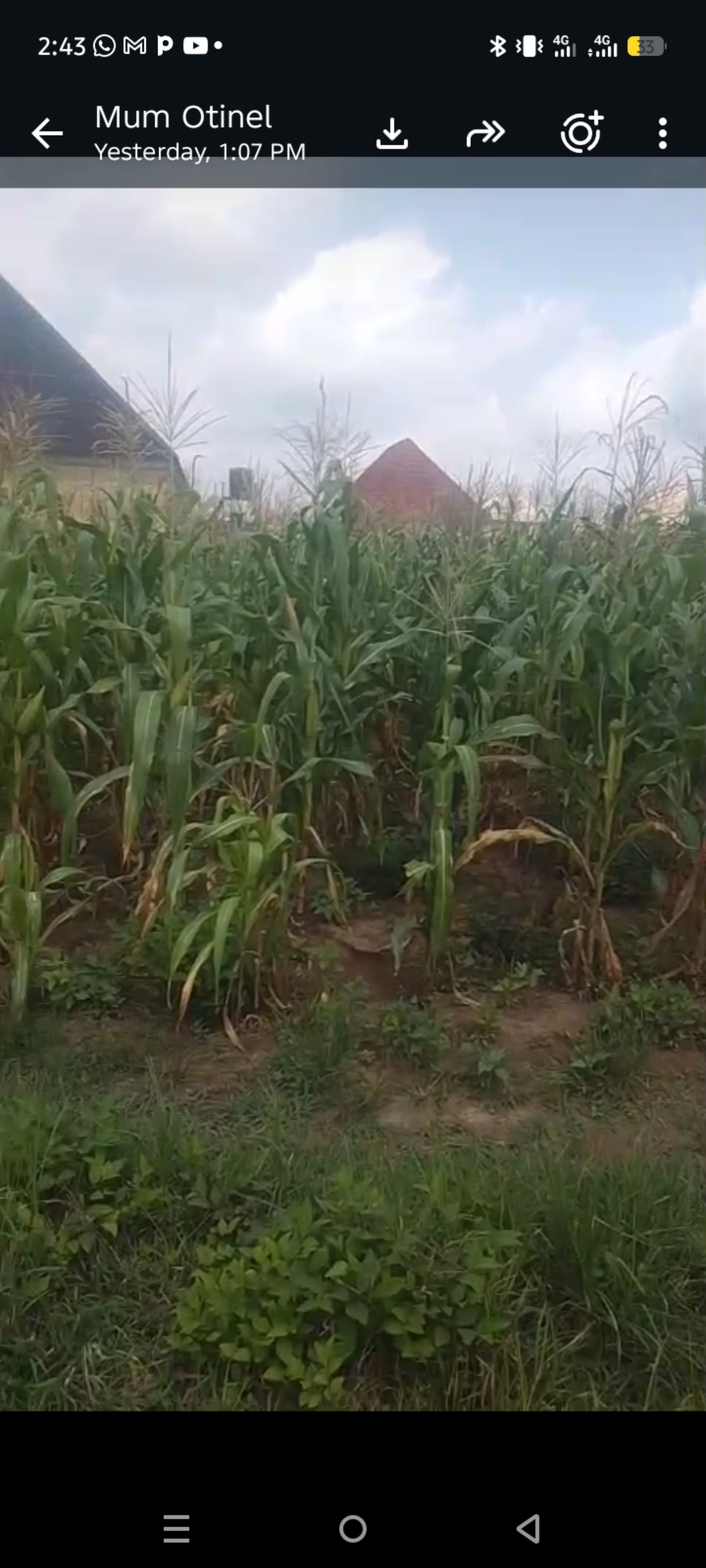  100ft  by 50ft  Land for sale ,Zakoyi ,Bmuko 